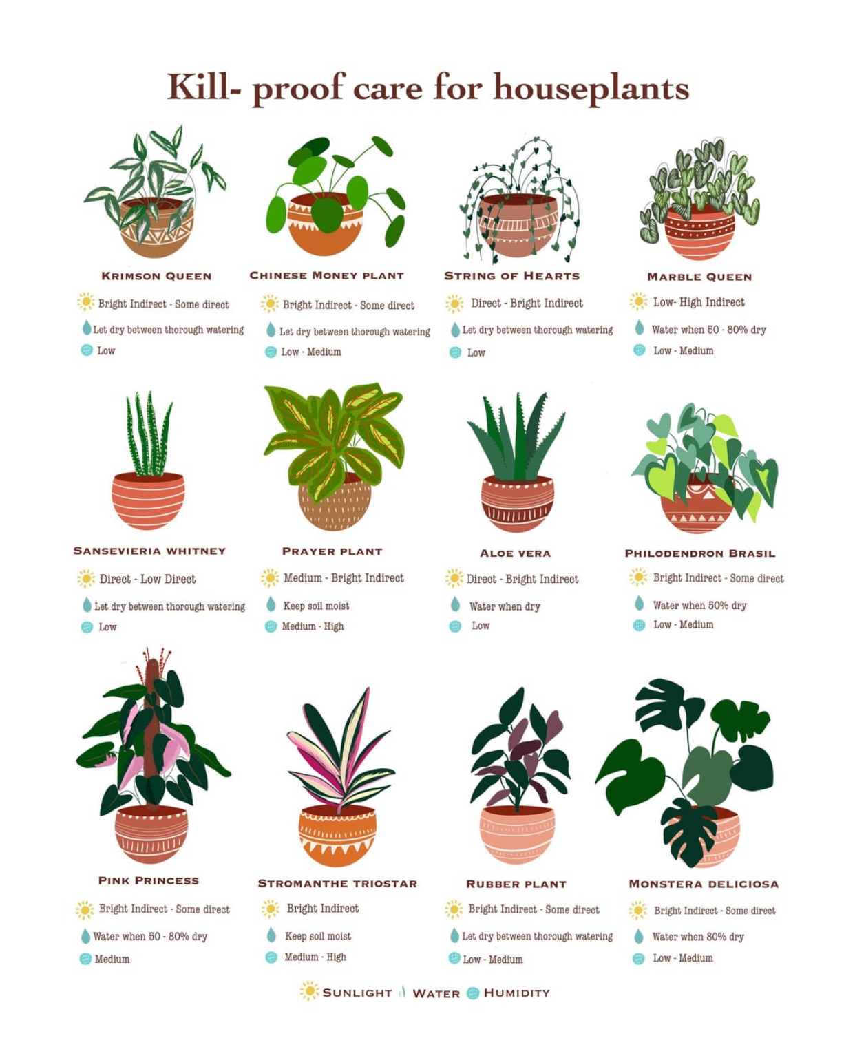 fertilizing indoor plants
