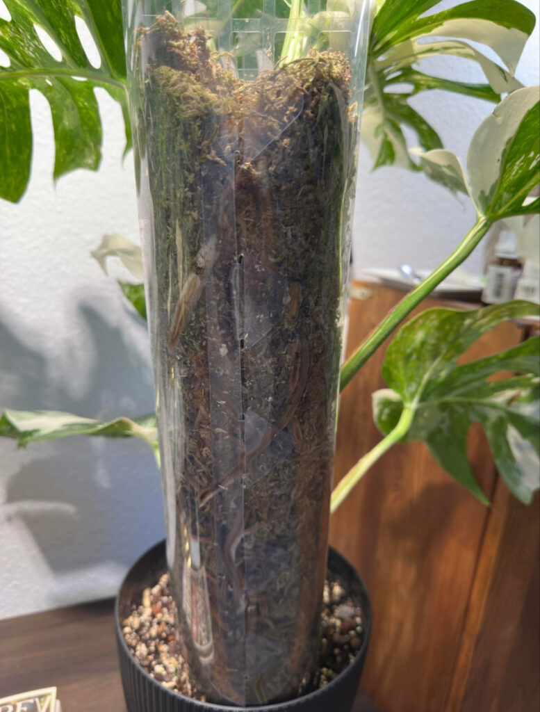 Methods of Propagation